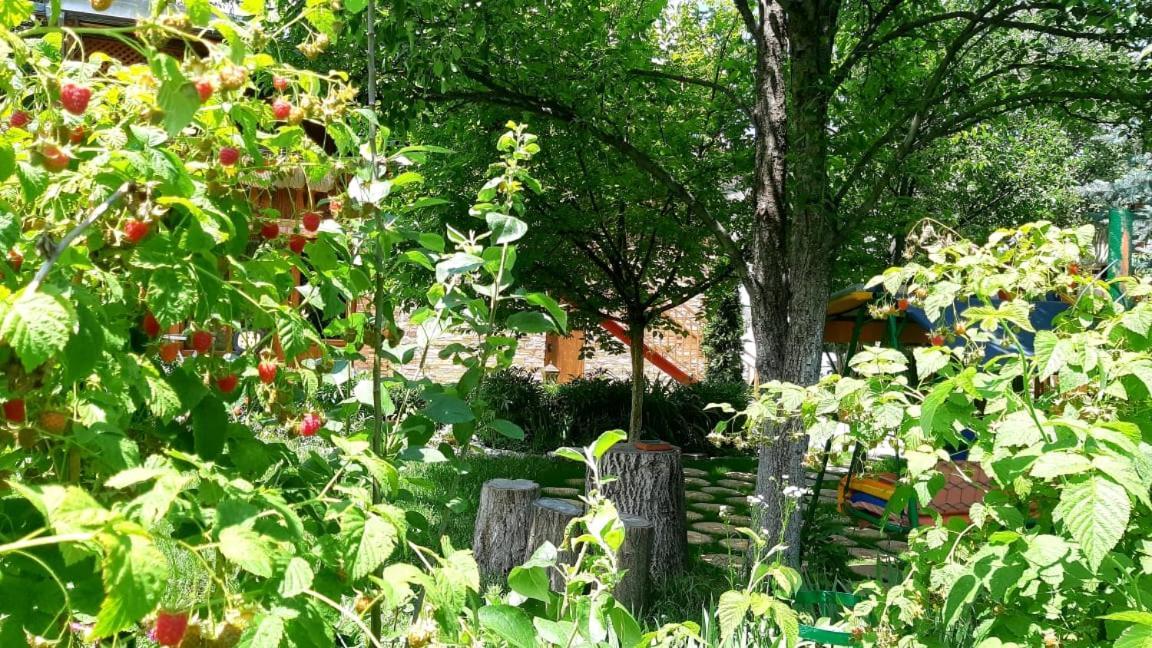 Maghay B&B Hotel In Vanadzor Luaran gambar